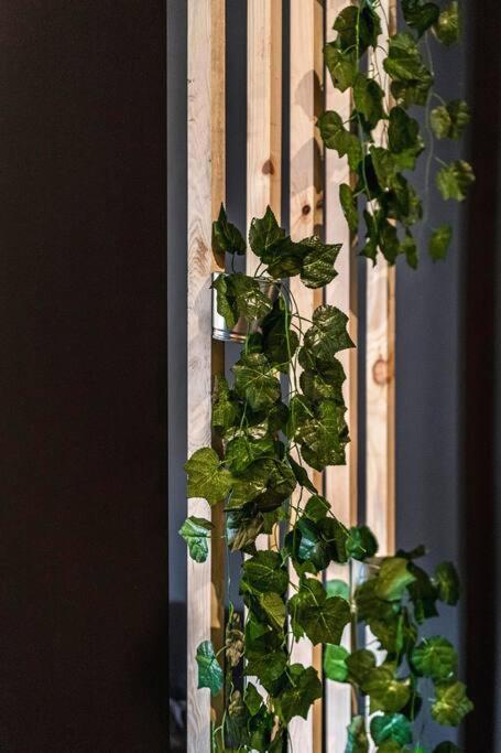 Krakowskie30 Loft1 Deptak Lublin Dış mekan fotoğraf